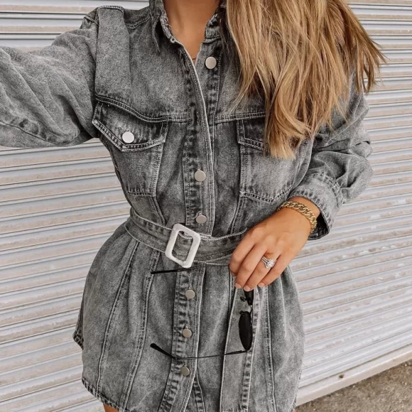 Street Hipster Single Breasted Belt Pocket Slim Fit Denim Skirt